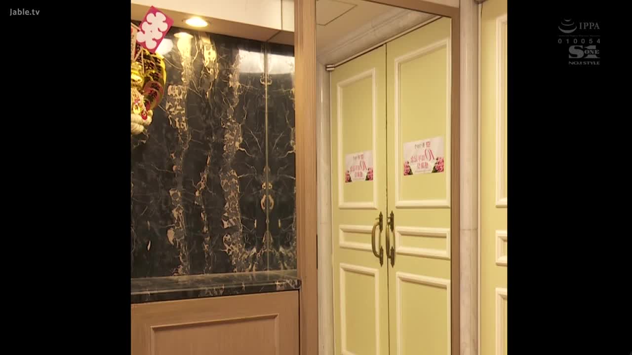 SSNI-917 十周年粉丝感谢会和葵司完全2人独处1对1超专注服侍 -葵司